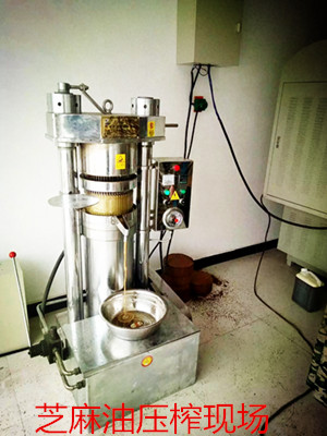 菜籽榨油機使用久了怎么維護保養(yǎng)(圖1)