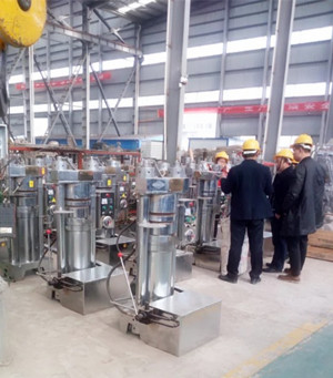 遠(yuǎn)銷國(guó)外的企鵝榨油機(jī)設(shè)備(圖3)