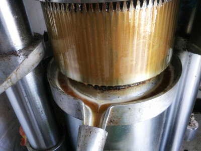 家用小型榨油機(jī)發(fā)現(xiàn)堵了怎么辦？(圖3)