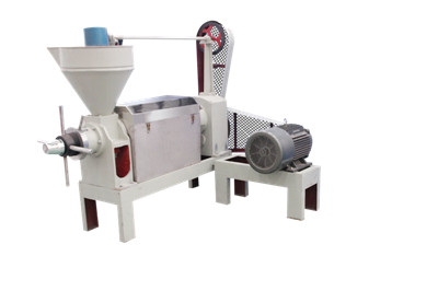 榨油機生產(chǎn)廠家生產(chǎn)的提升機有哪幾種？(圖1)