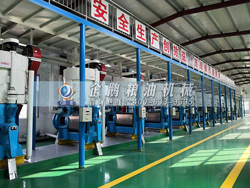 山茶油生產(chǎn)線